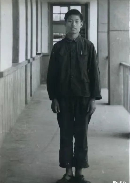 临朐|【临朐记忆】李汝建:那一年,我十五岁