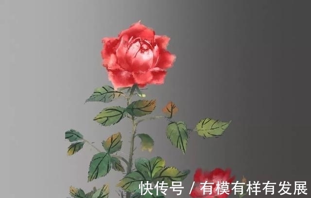 测试|＂【测试】你几月出生，就是什么花＂