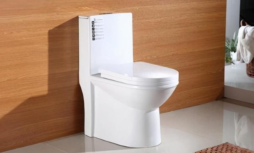 蹲便器|为什么越来越多人不在卫生间里装马桶？原来现在都流行这种设计