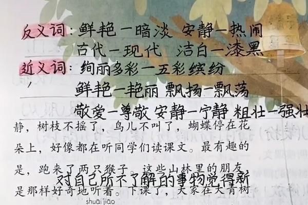 暑假|家长晒三年级学霸的预习笔记，字迹工整堪比“印刷体”，老师羡慕