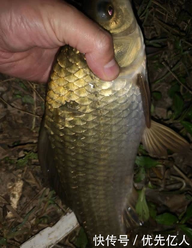 春钓鱼儿上浮不开口怎么办?三个办法解决,总有一个适合你