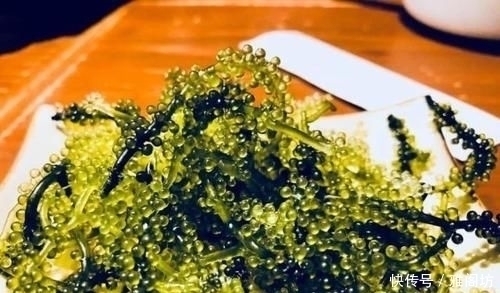 西餐的桌子上放的“小葡萄”能吃吗若放着不吃,会遭服务员嘲笑