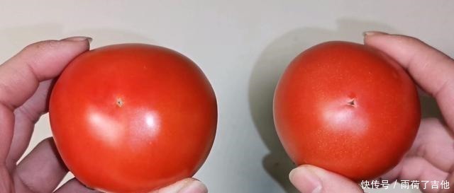 西红柿|买西红柿要买母的,头部一眼就能看出,沙甜多汁,老农方法真管用