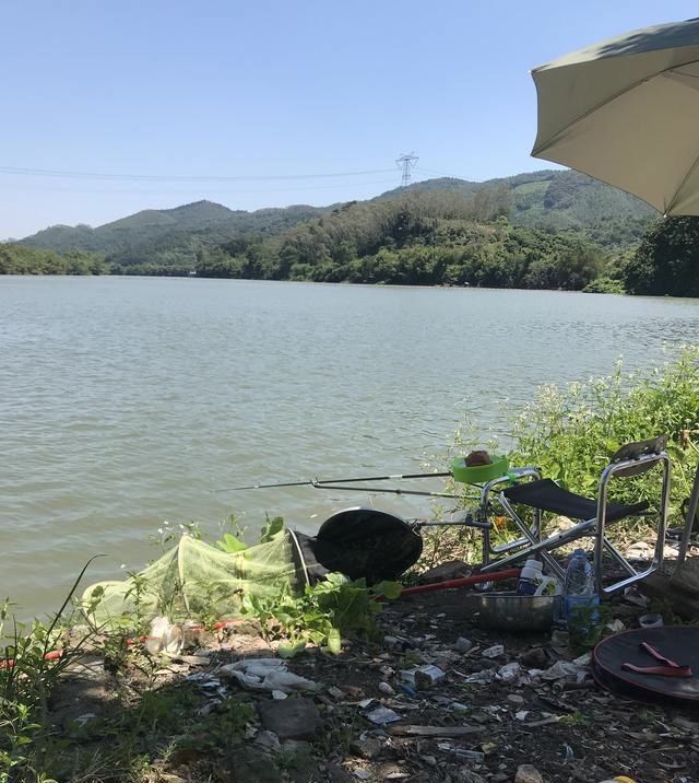 如何判断窝里有没有鱼进窝有信号,这三种情况果断走人