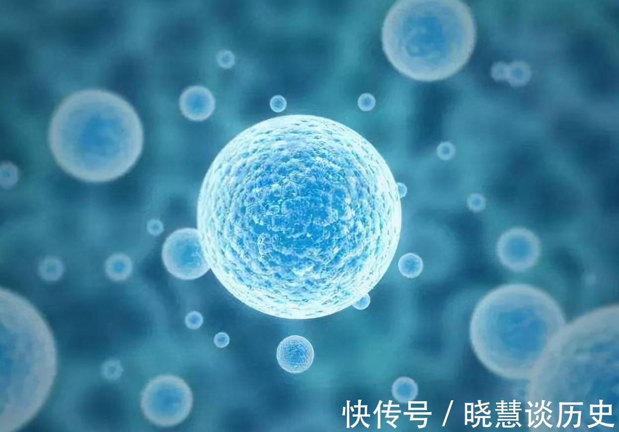 万精油|黄芪泡水好处多多,但这3种人尽量不要喝黄芪泡水,平时要注意