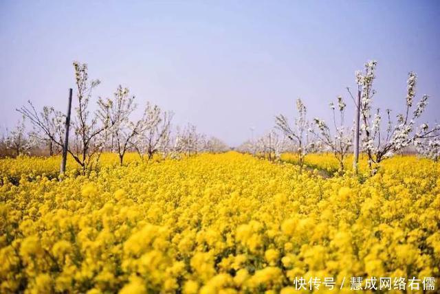 「我的家乡在河北」春水连天、万鸟翔集！河北版的“苍山洱海”，简直太仙儿了！