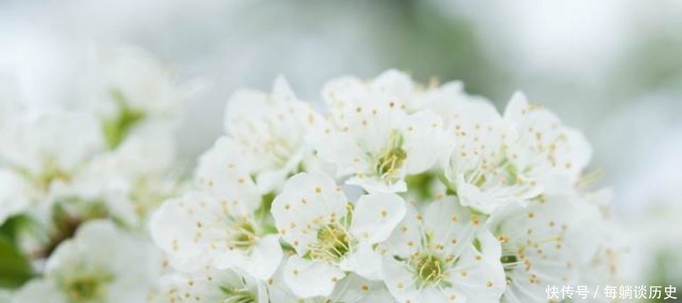 低估|杨万里这首诗美得令人惊艳,但很显然被低估了,也是难得的佳作