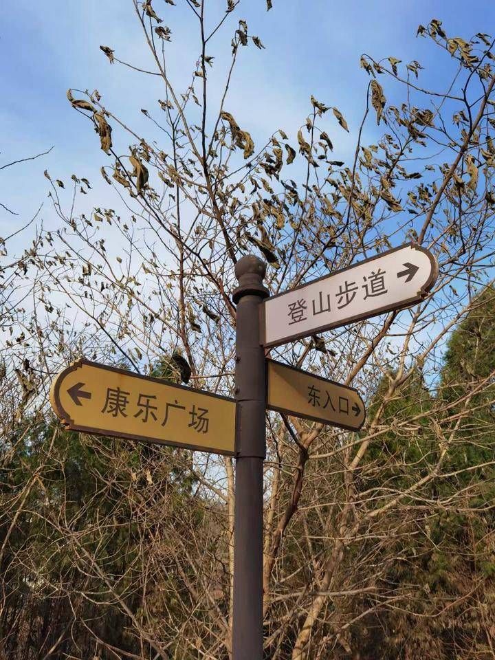 小东山|打卡小东山，美丽风景线