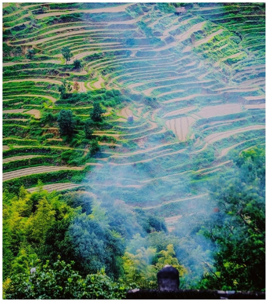 最适合秋天去的城市，独一无二的山林景色，你来过这样的婺源吗？