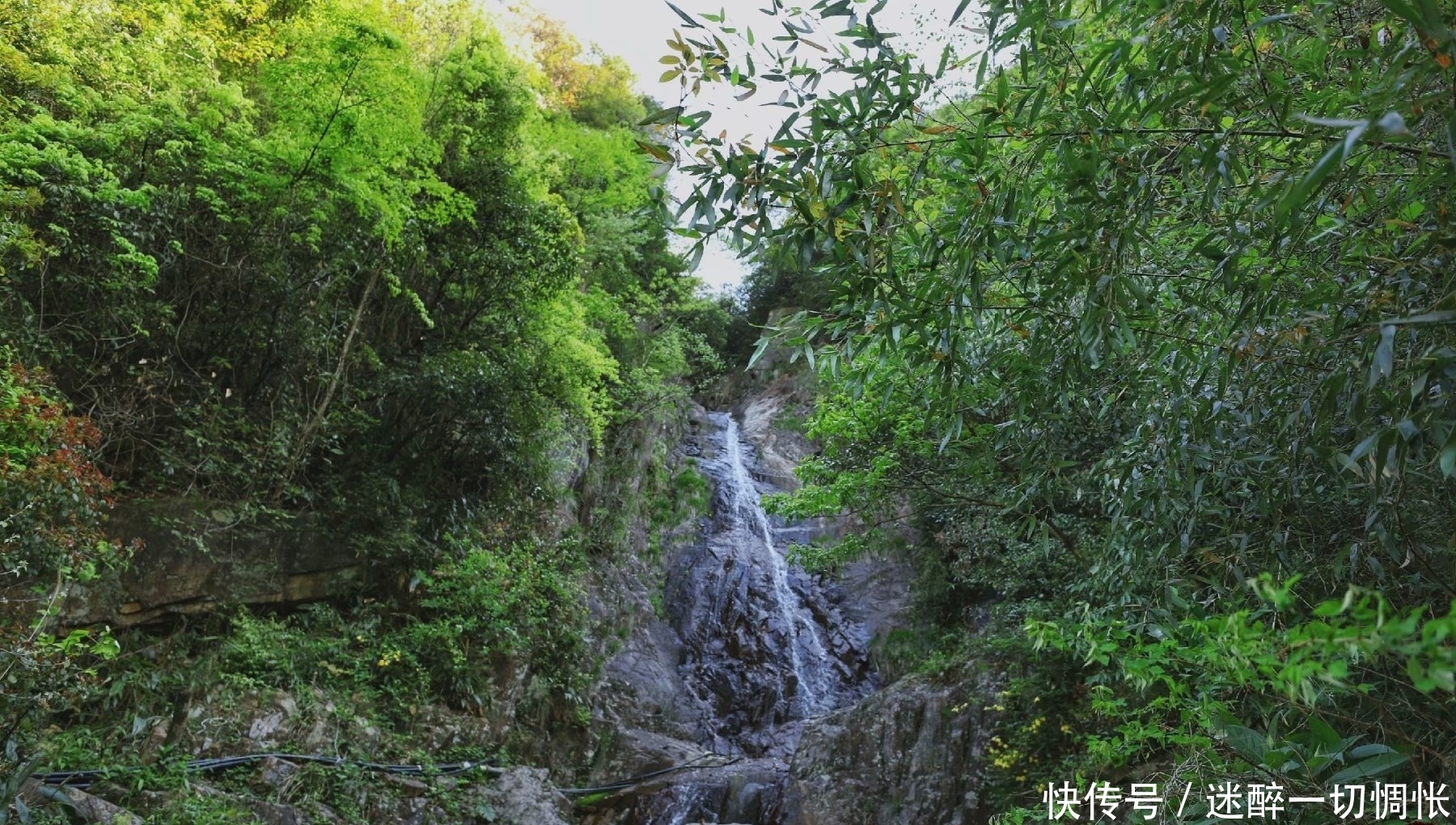 浙江有个登山的好去处，颜值全程在线，上海的母亲河发源于此