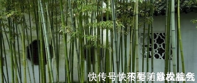 慧觉&苏轼送给高僧一首诗,看似通篇打油,却蕴含人生至理