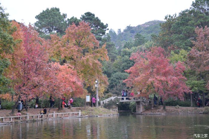 天平山|【喜迎国庆】停车坐爱枫林晚，霜叶红于二月花。游天平山赏枫叶