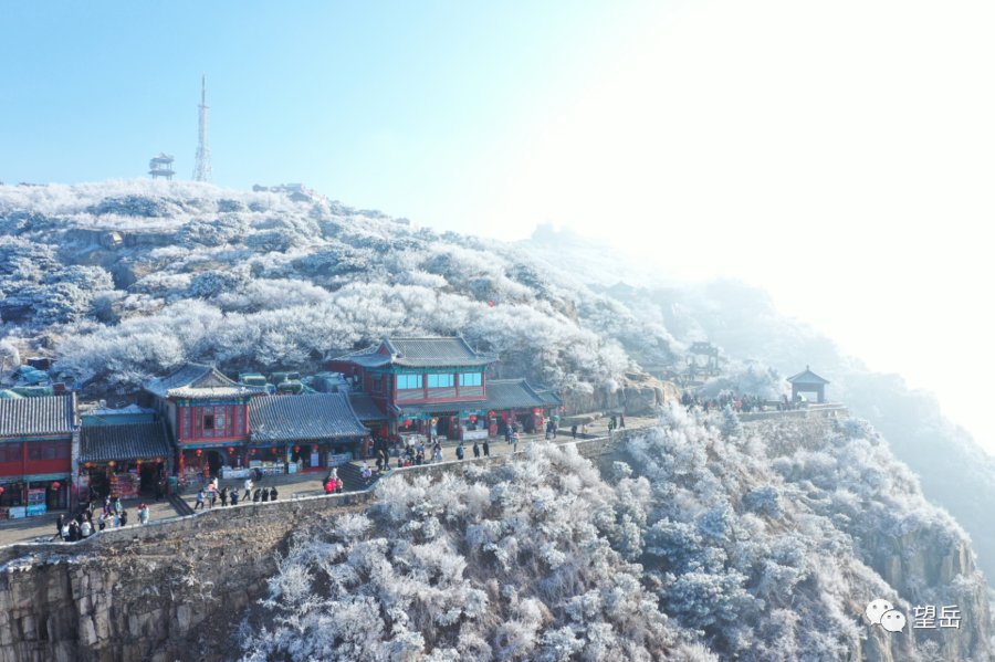 泰山|壹图集丨泰山之上，雕栏玉砌！大片雾凇蔓延岱顶宛如童话世界