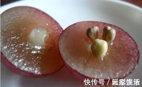 葡萄籽是个“宝”,不仅可以吃,在生活中还有很多的妙用哦!