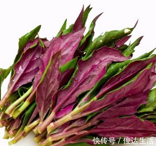 保护血管|想长寿先养生,推荐吃3种食物,排毒护肝,保护血管,美味又健康