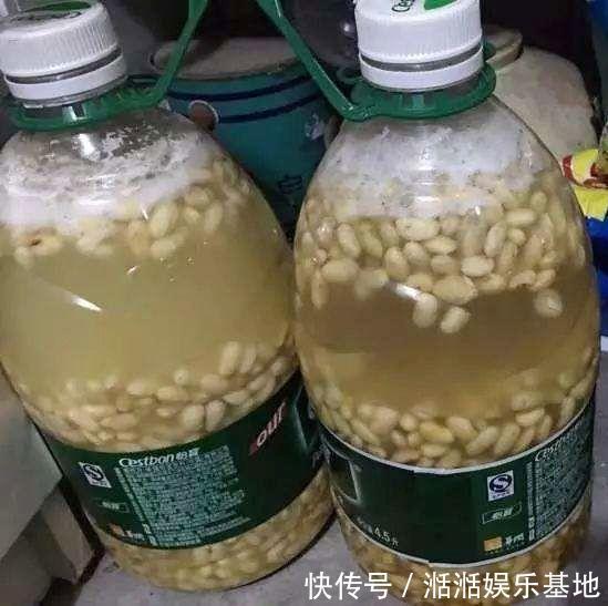 植株|家里自制养花“肥水”,每半个月给花来一点,浇一浇就长得旺!