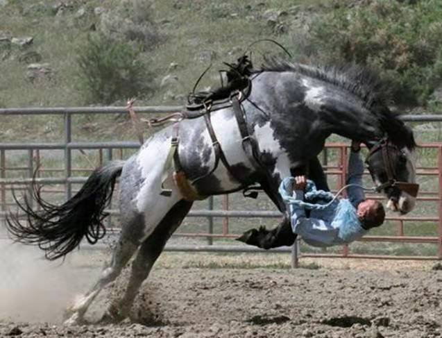 |搞笑图片幽默段子笑话看来大爷打游戏有一手,毕竟也是年轻过的
