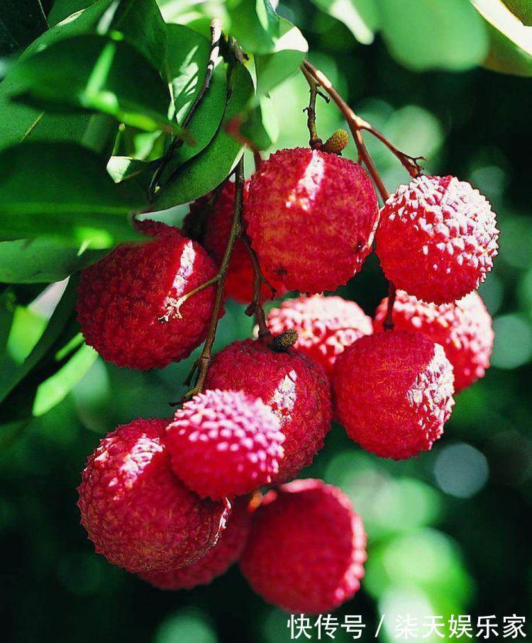 增强|想长寿先排毒,常食这四种食物,美容养颜,增强人体免疫力