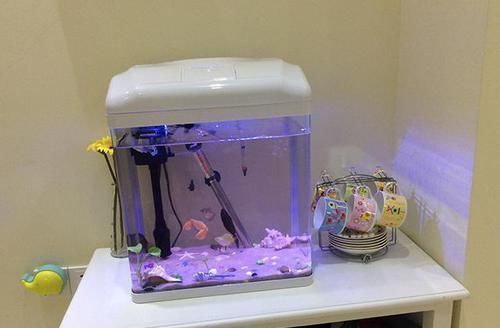 帘子|54平米的小两居,入住一年多了,房子虽小却很温馨!