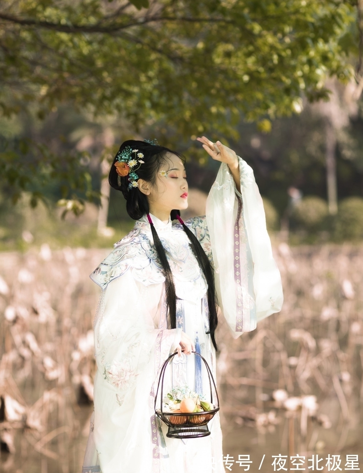 七律&诗·十首丨芸芸世相何堪画?幸有禅心可避尘