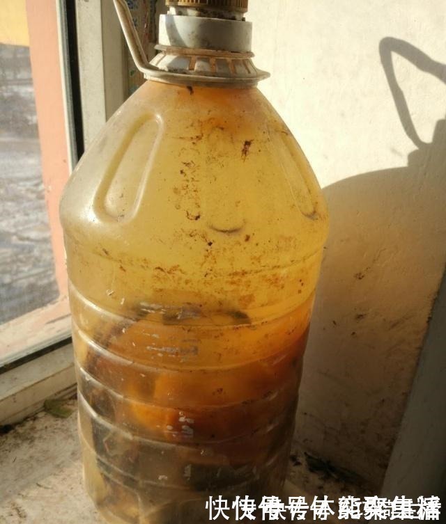 春养虎皮兰,4点“伺候好”,才能长高高,开花特仙气,好运临门!