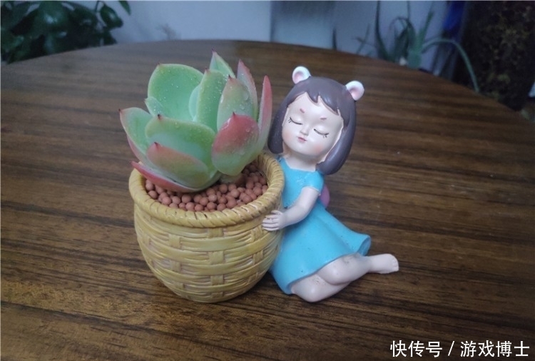 一肉一世界，一方一净土