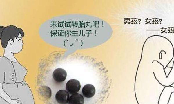 胎丸|转胎丸：生育史上的最大骗局