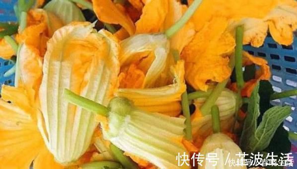 南瓜花|長壽喜歡會吃的女性，以下食物常吃，排毒潤腸，改善睡眠質量！