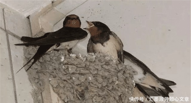 名言|“父子不同桌,叔侄不对饮”,老祖宗三句经典名言,你了解吗