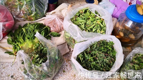 鲜嫩|此菜浑身都是宝,很多人却当草,鲜嫩营养高,蒸着吃特香!