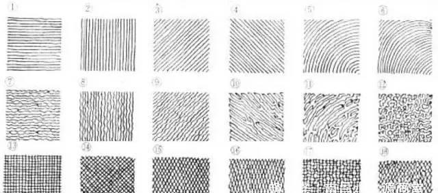 方法|画画必看的排线方法和技巧!