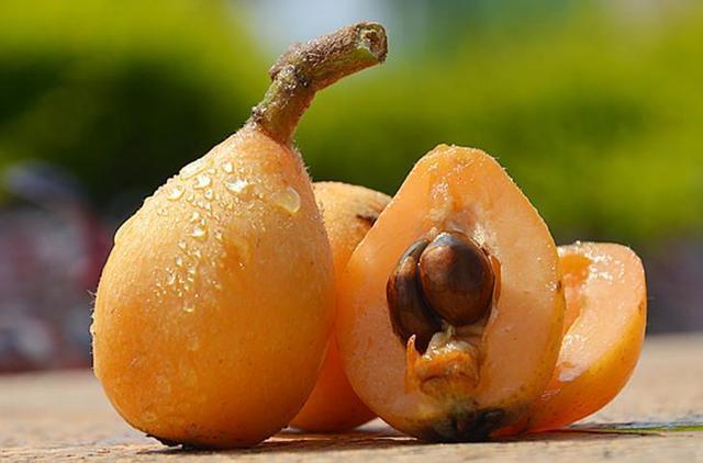 枇杷|越老越要吃得好中老年人营养均衡建议多吃这4种“软黄金”!