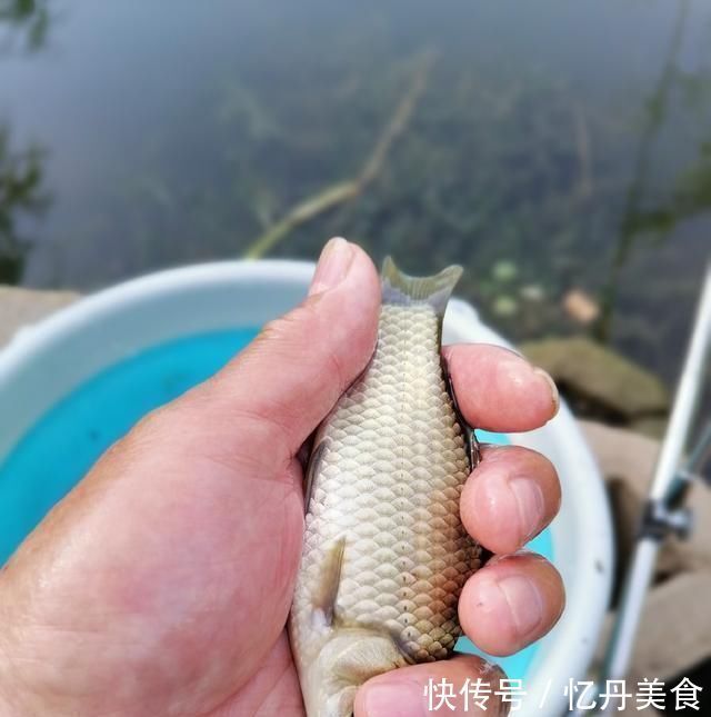 大鱼|高温天,钓大鱼先克服这些“难题”,不是我吹,渔获瞬间猛增几倍
