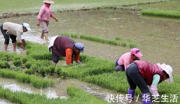莫等闲|李玫瑾：孩子不想读书，带他去4个地方走一圈，比哄劝打骂更管用
