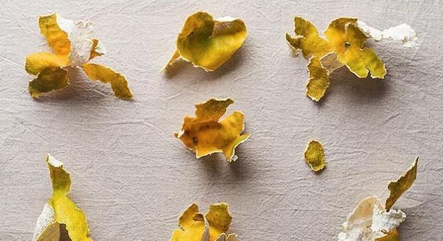 脾胃不好,多吃陈皮,堪称调理脾胃的“小金方”!