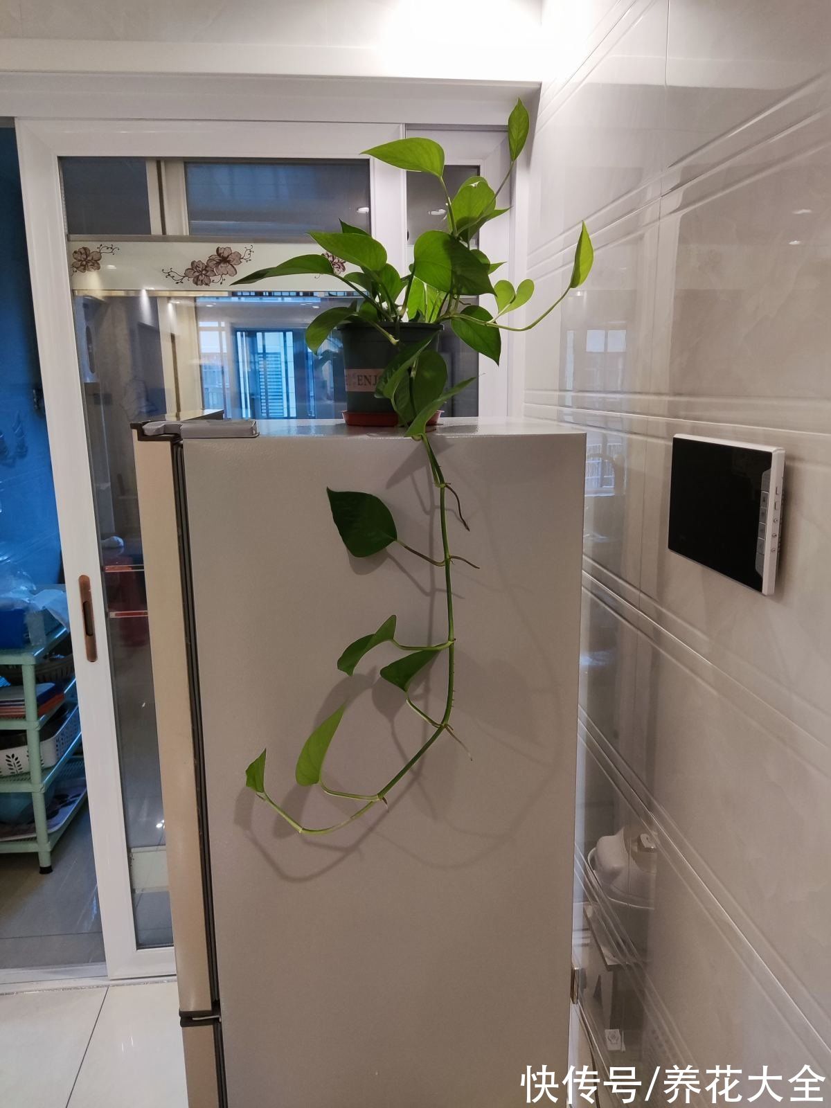 年底在家大扫除，记住5个小妙招，省时省力干干净净