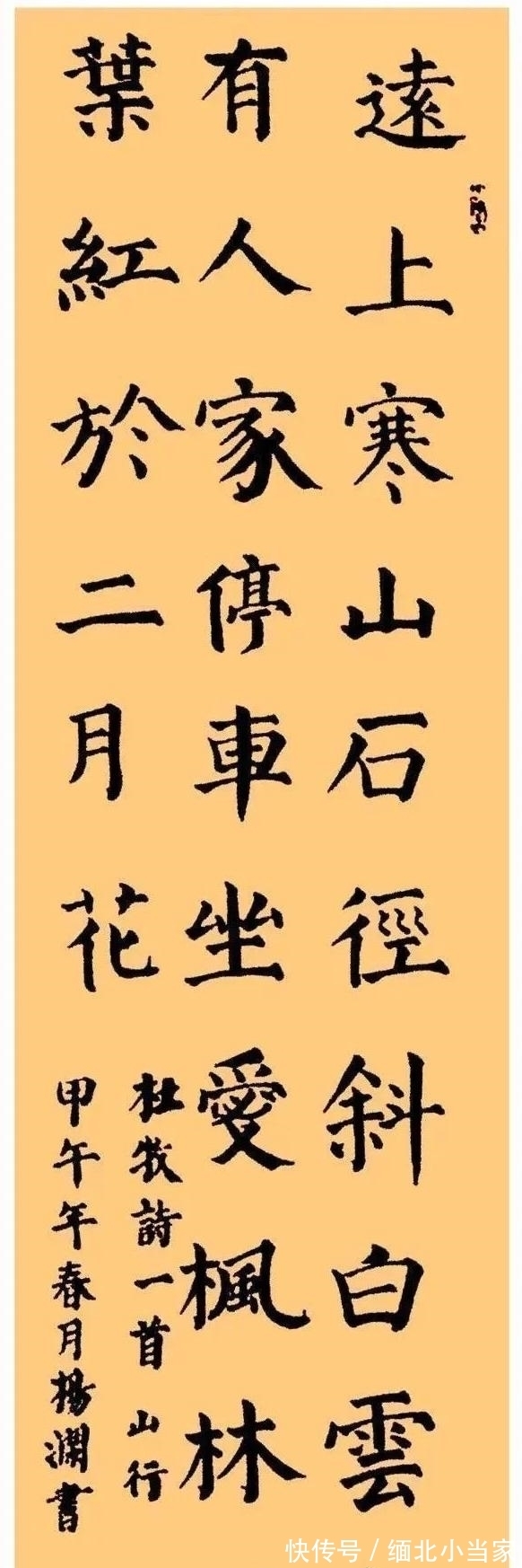 硬笔书法&杨澜有多美,她的书法也有多美,书协大佬也羡慕:希望多交流