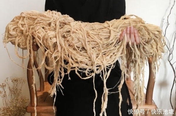 构树就是这么厉害,浑身都是宝,果实益气补肾,树汁能治牛皮癣