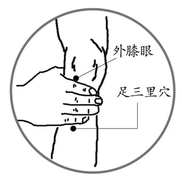 三阴交|身体自带5个“养生穴”,每天按一按,帮你养好身体