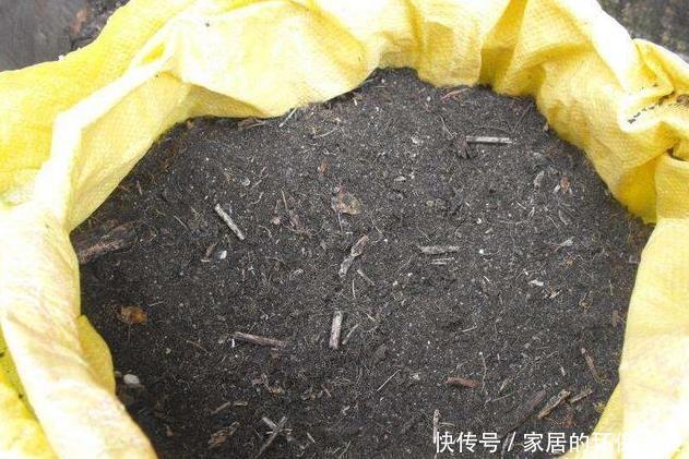 虫子|养花土,用一个塑料袋,轻松杀虫灭菌,花盆里一个虫子都没有