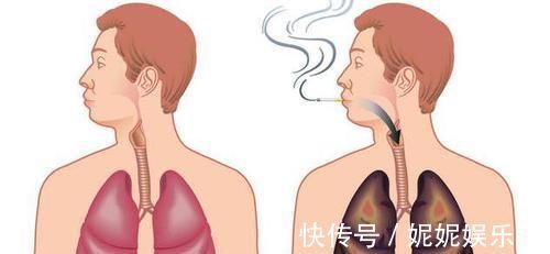 清肺|它是尼古丁的天然“解药”,老烟枪常吃, 清肺润肺,肺病不来扰