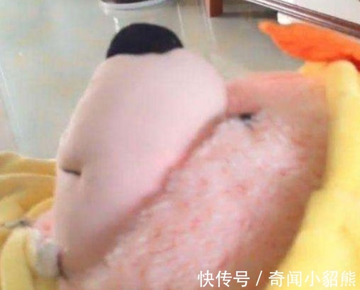 看书|妈妈发现儿子反常的坐着看书,走过去细看,接着哈哈笑不停