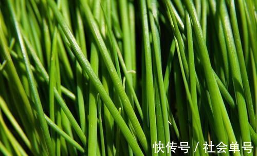 膳食纖維|人到中年想長壽，推薦常吃3種食物，降壓減脂，預防心腦血管