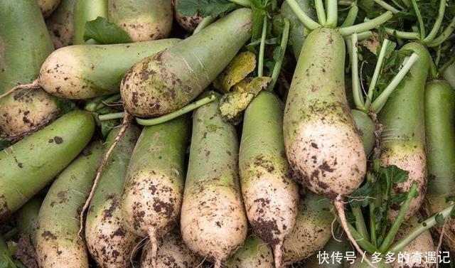 营养|立冬后,遇到此菜我从不还价,比白菜有营养,隔三差五吃对胃好