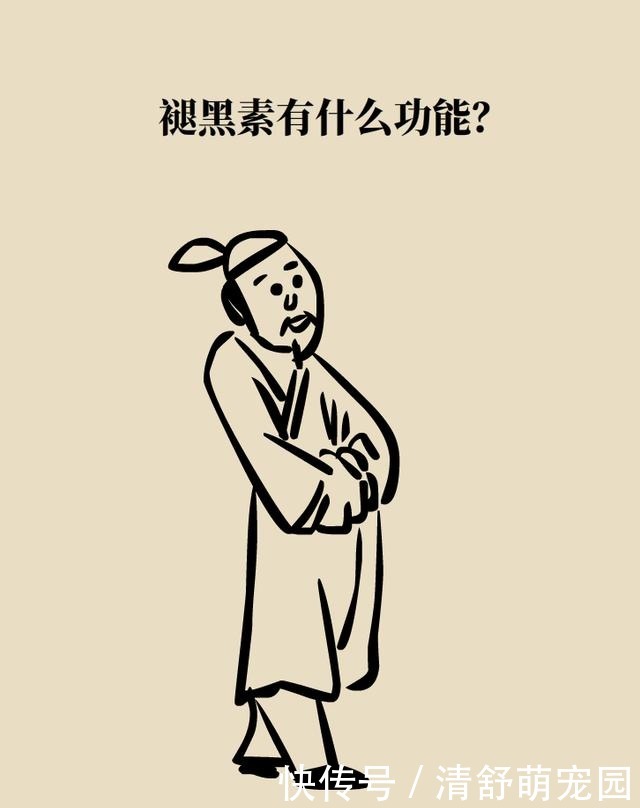 褪黑素|为啥失眠?因为不分泌褪黑素!为啥不分泌褪黑素?因为……