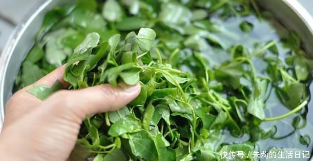 个头|它是菜又是药,路边“补钙库”,钙是鸡肉的7倍,补钙质,长个头