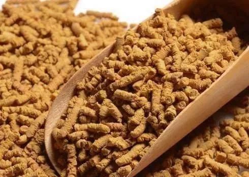 面包|奉劝大家:糖尿病最怕的“天敌”,每天饭后吃一口,血糖不再高!