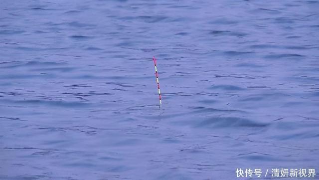 钓法|不知道用七星漂还是立漂，看完这篇就知道了
