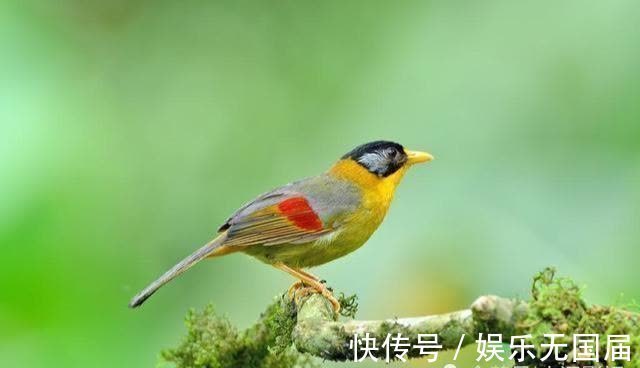 小聪明&做人不能太聪明的七种“心计”,尽早悟透,人生反而会越来越顺