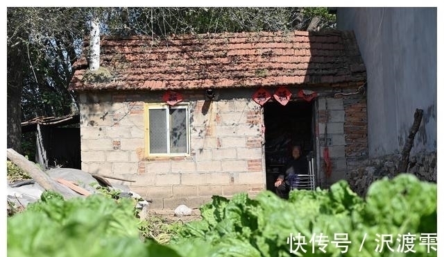 秘诀|100岁奶奶,饭前习惯特殊,至今满头黑发,看长寿秘诀是啥